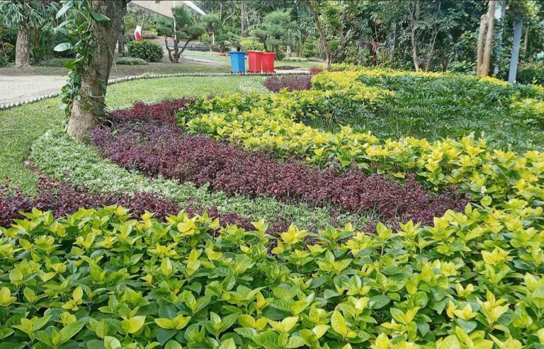 Jenis dan kualitas tanaman untuk taman di Surabaya