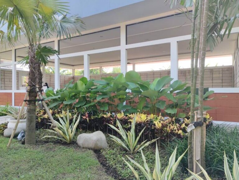 Tahap Persiapan dan Pengolahan Lahan Taman