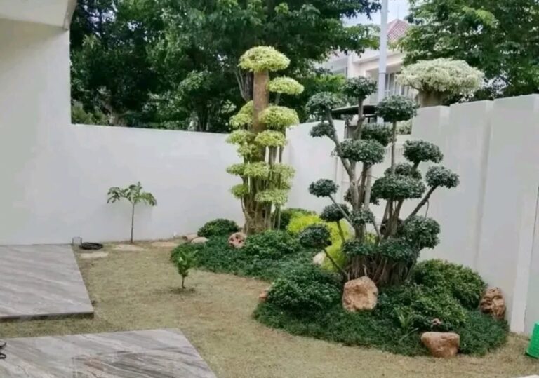 Tahap konsultasi awal dan identifikasi kebutuhan taman Surabaya