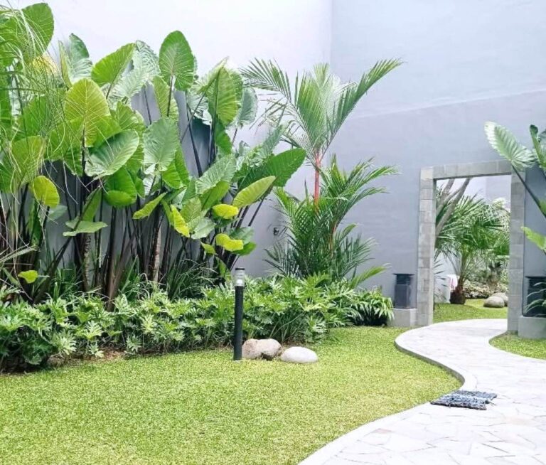 Taman tropis di rumah